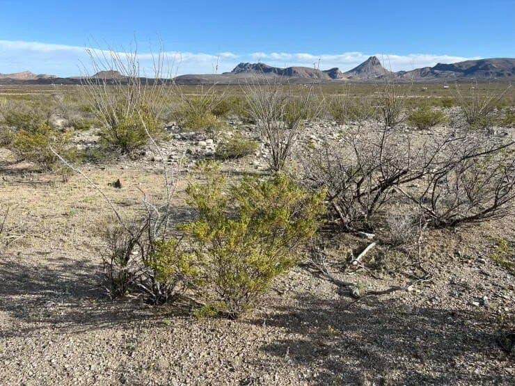 41.01 acres in Brewster County - photo 4
