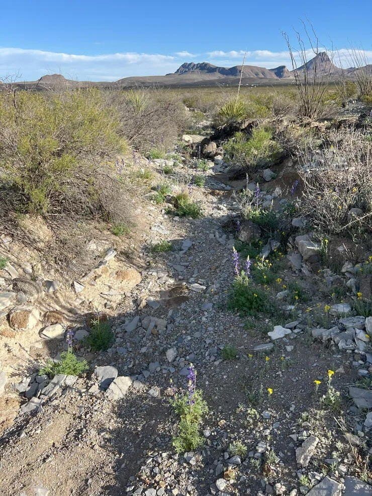41.01 acres in Brewster County - photo 15