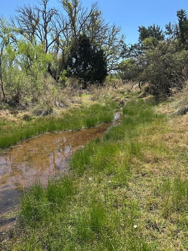 21.5 acres in Llano County gallery image 4