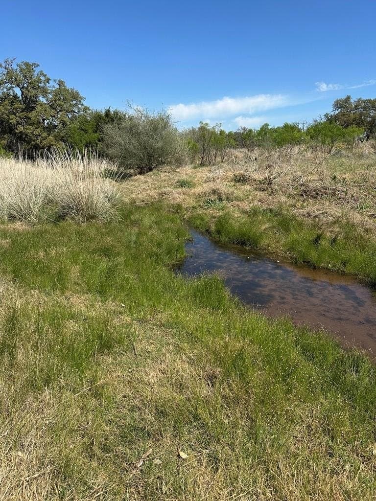 21.5 acres in Llano County gallery image 3