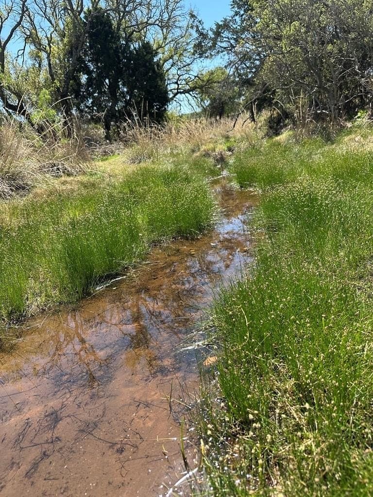21.5 acres in Llano County gallery image 2