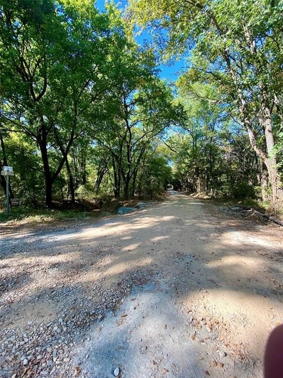 20.08 acres in Fannin County gallery image 3
