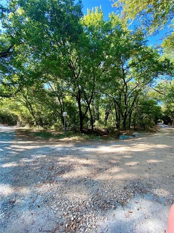 20.08 acres in Fannin County gallery image 2