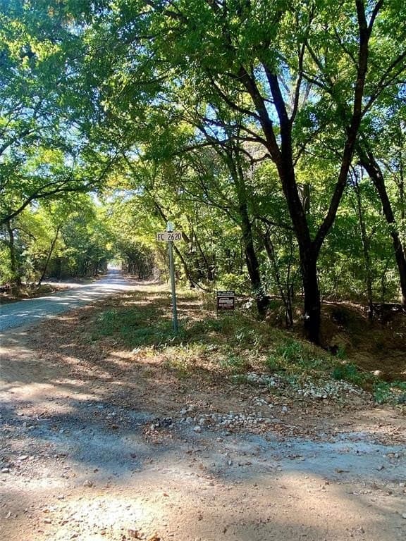 20.08 acres in Fannin County gallery image 4