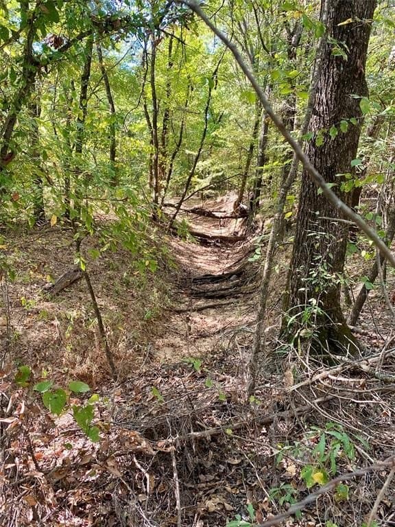 20.08 acres in Fannin County featured view