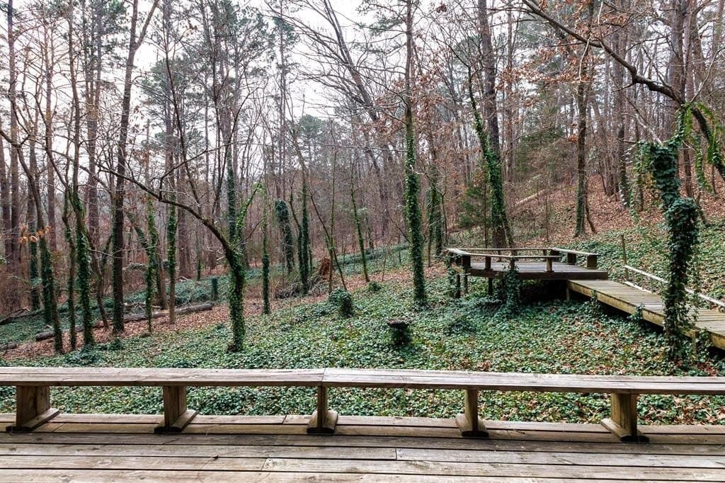 25 acres in Smith County gallery image 3