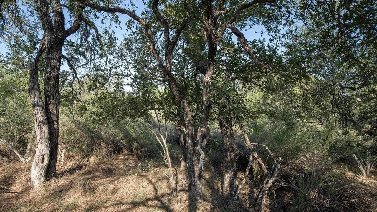 0.12 acres in Burnet County