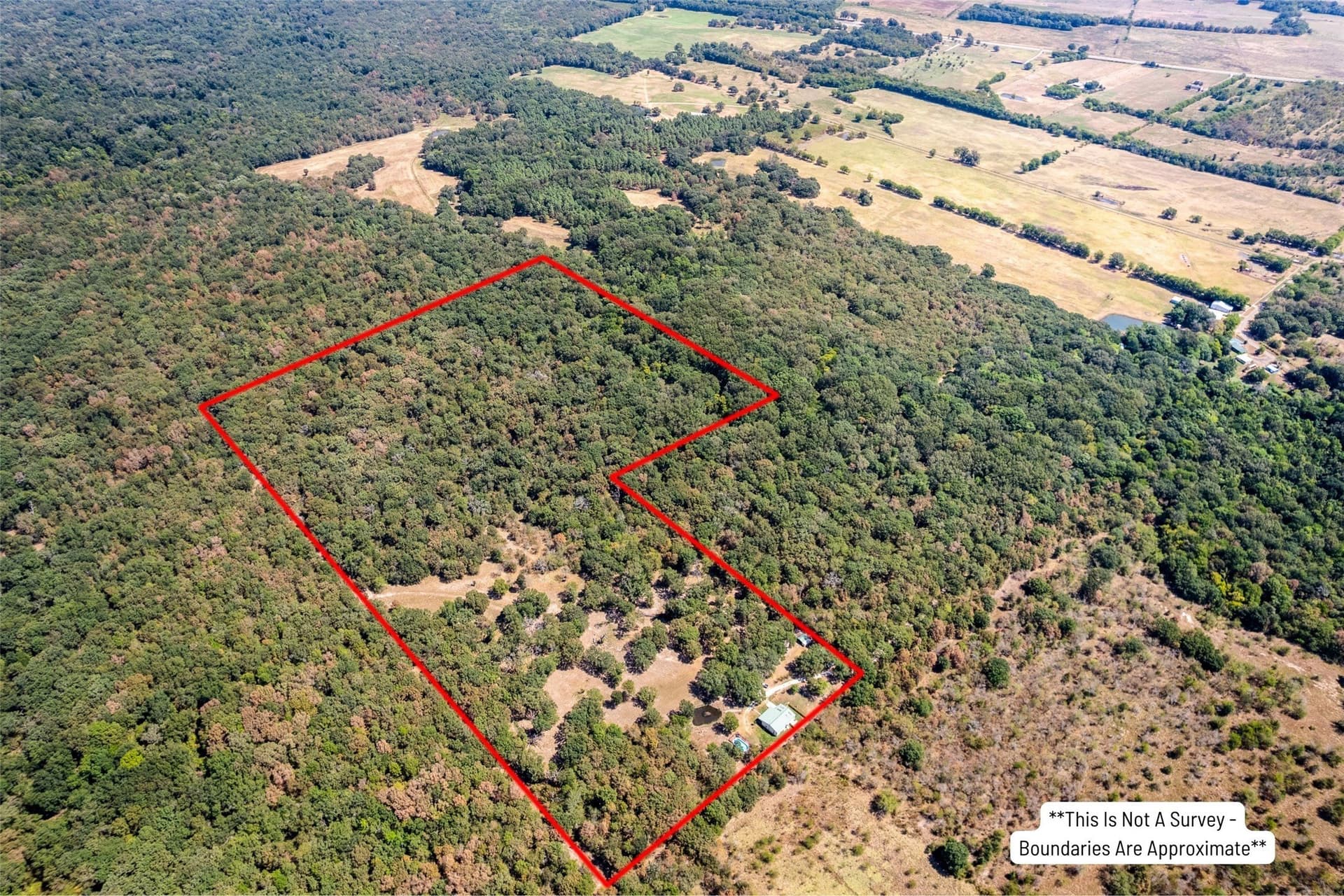 45.86 acres in Franklin (TX) County - photo 2