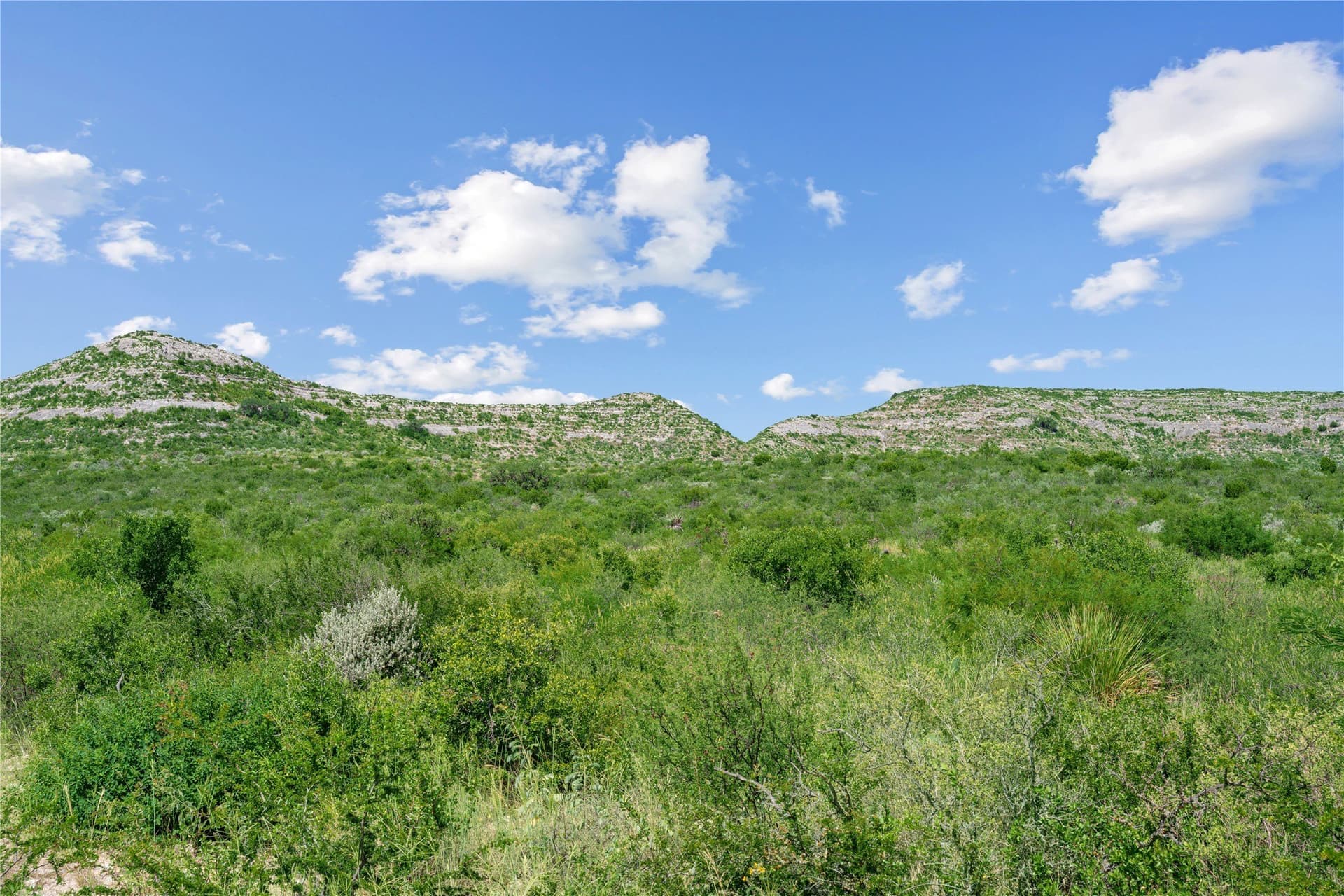 7,532.21 acres in Uvalde County - photo 33