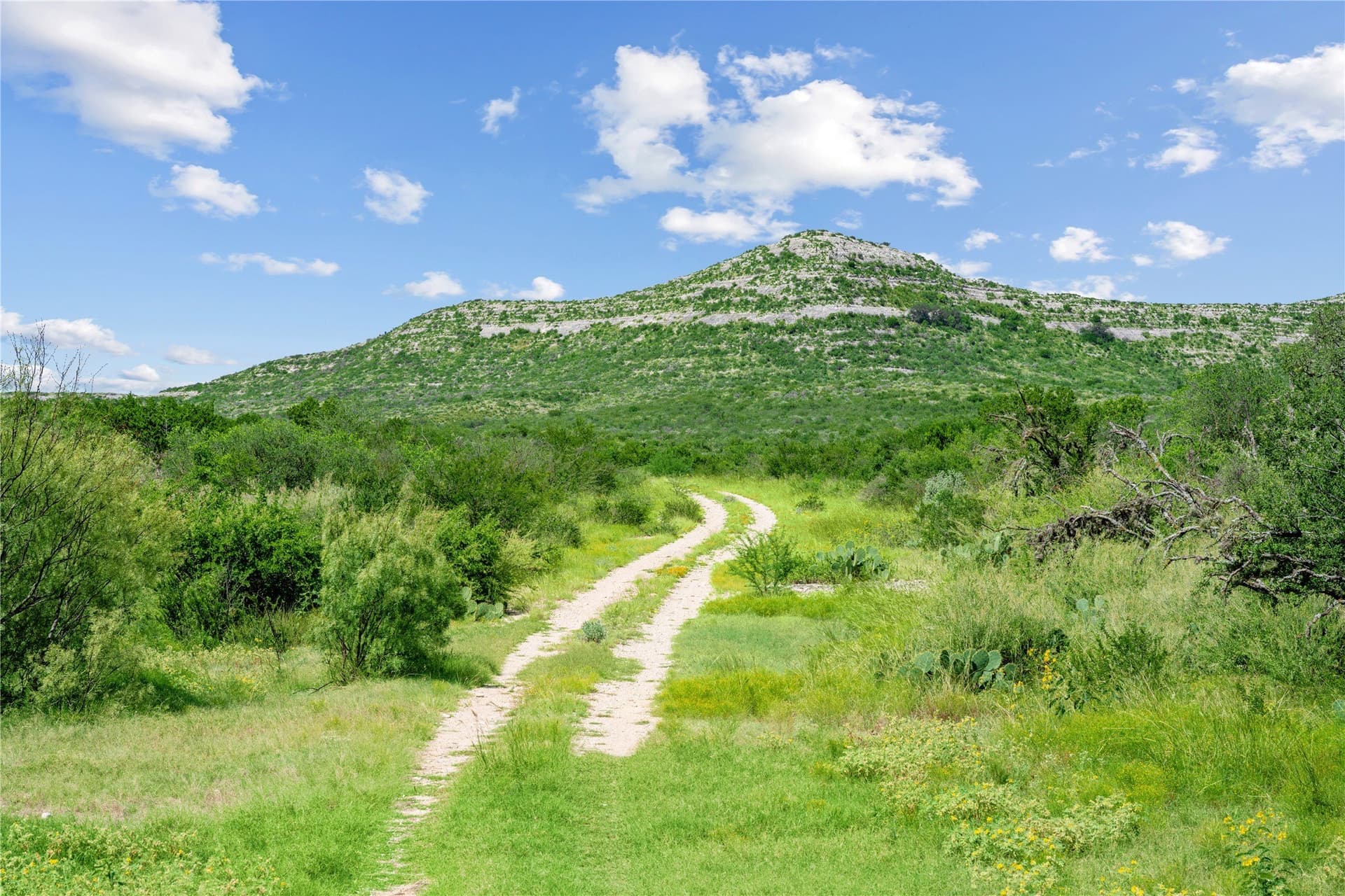 7,532.21 acres in Uvalde County - photo 27