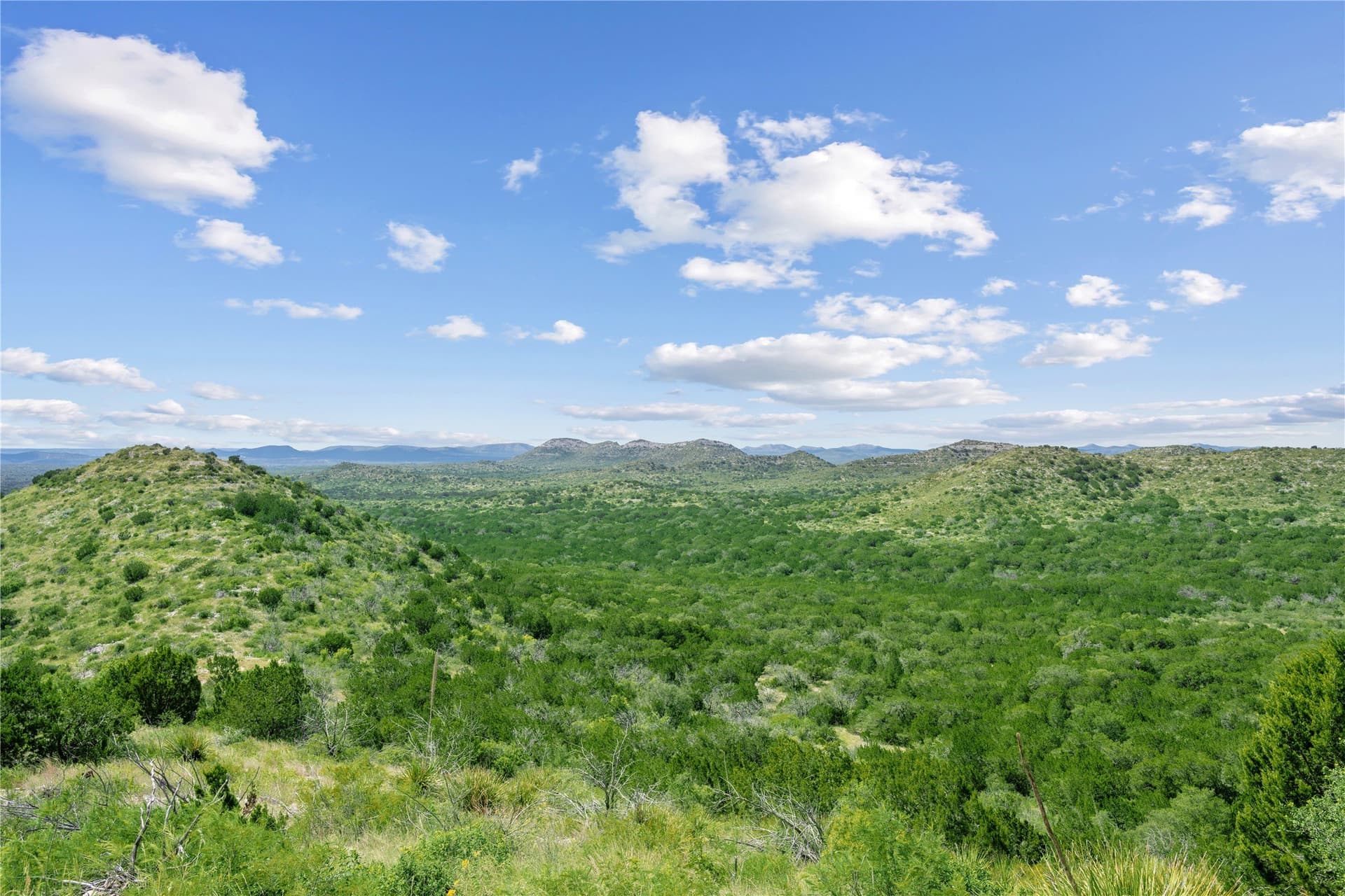 7,532.21 acres in Uvalde County - photo 12
