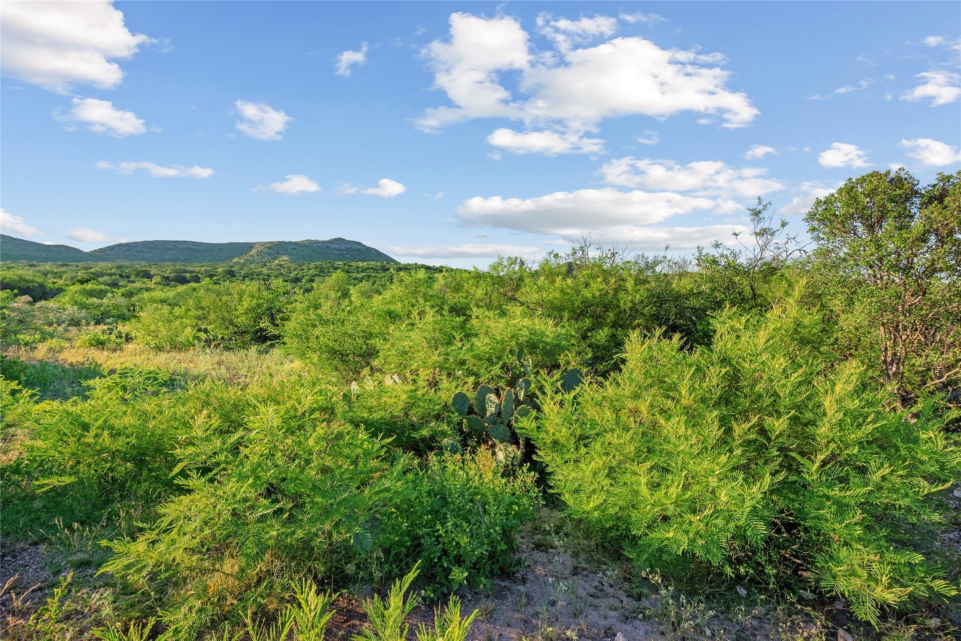 7,532.21 acres in Uvalde County - photo 8
