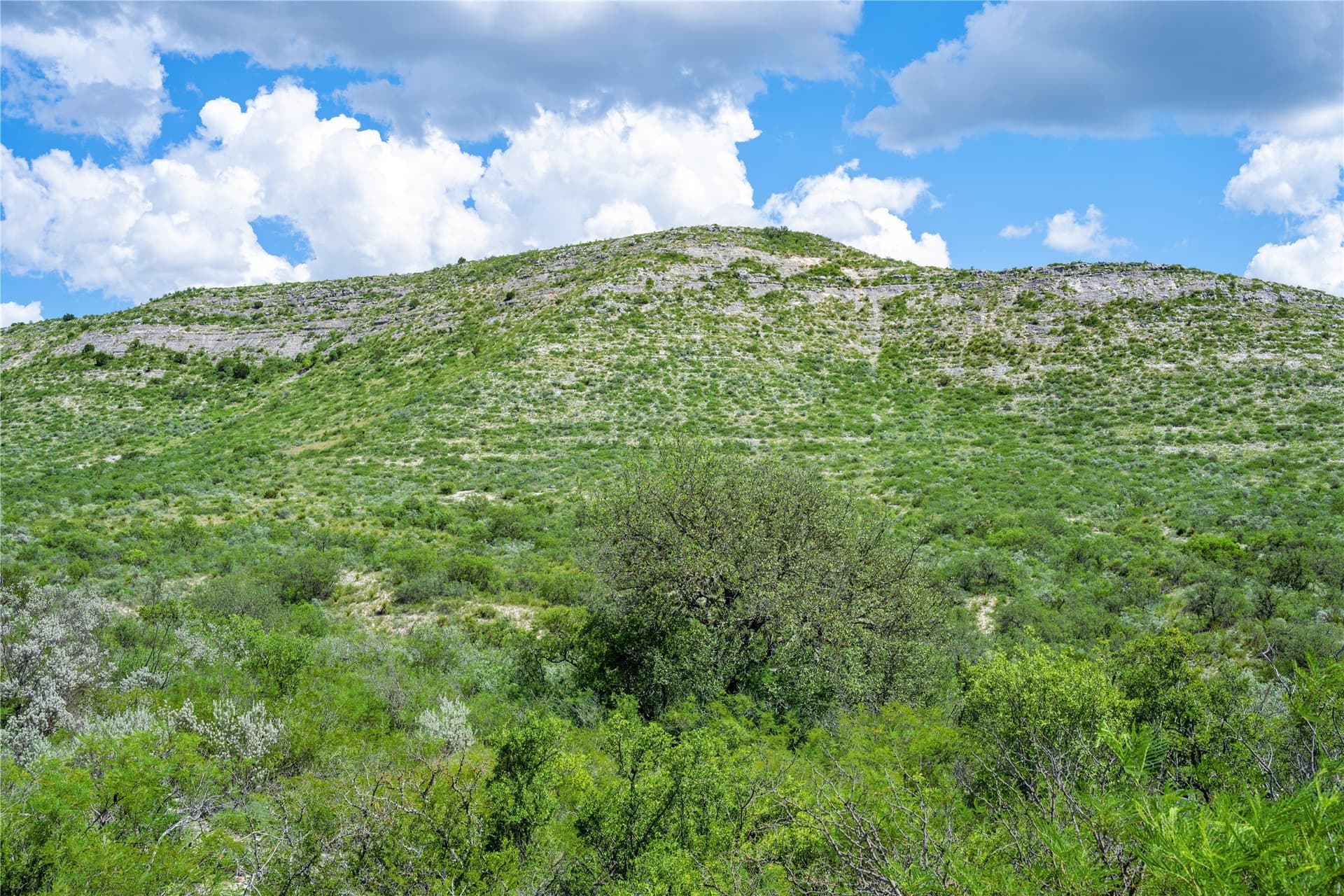 7,532.21 acres in Uvalde County - photo 16