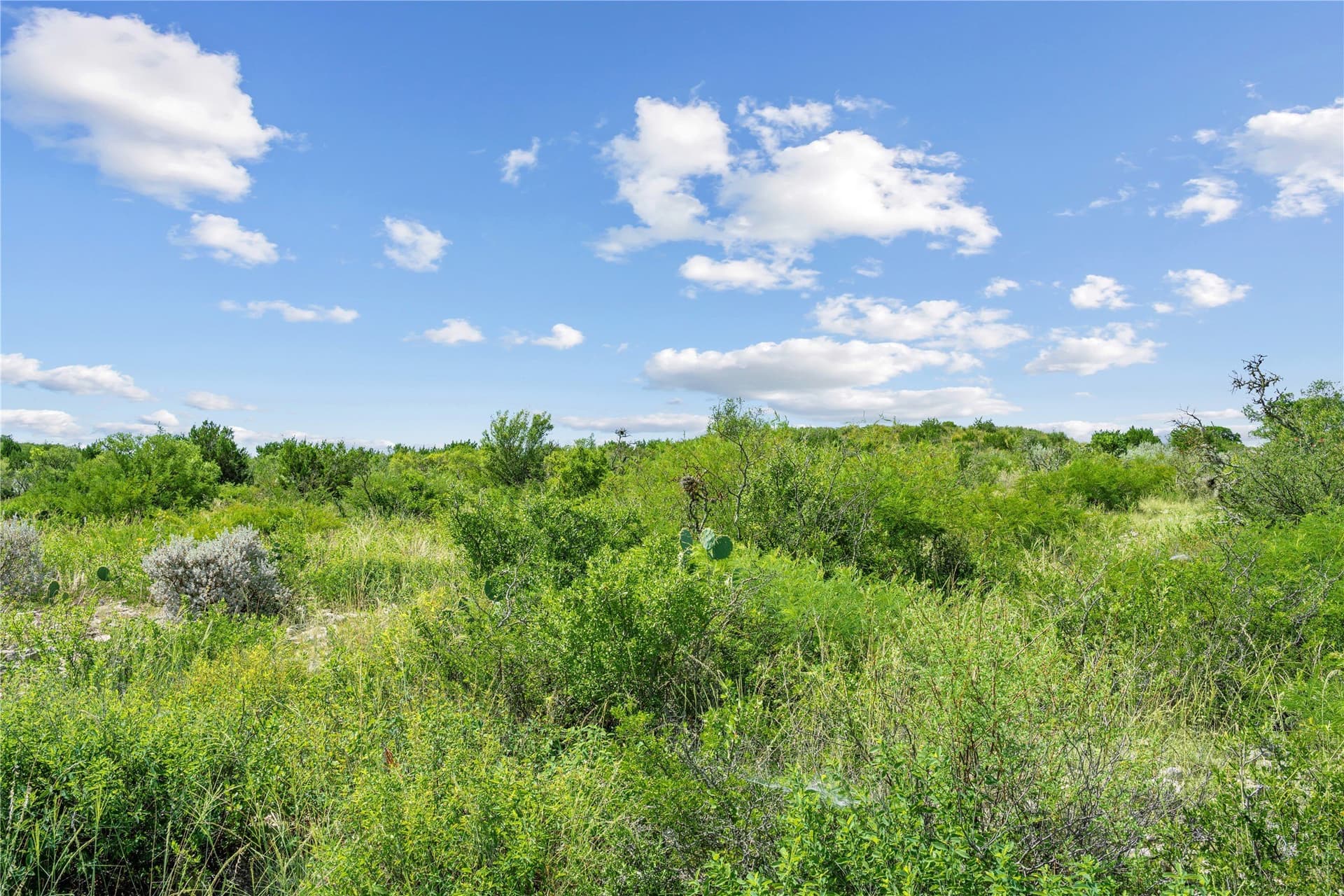 7,532.21 acres in Uvalde County - photo 34