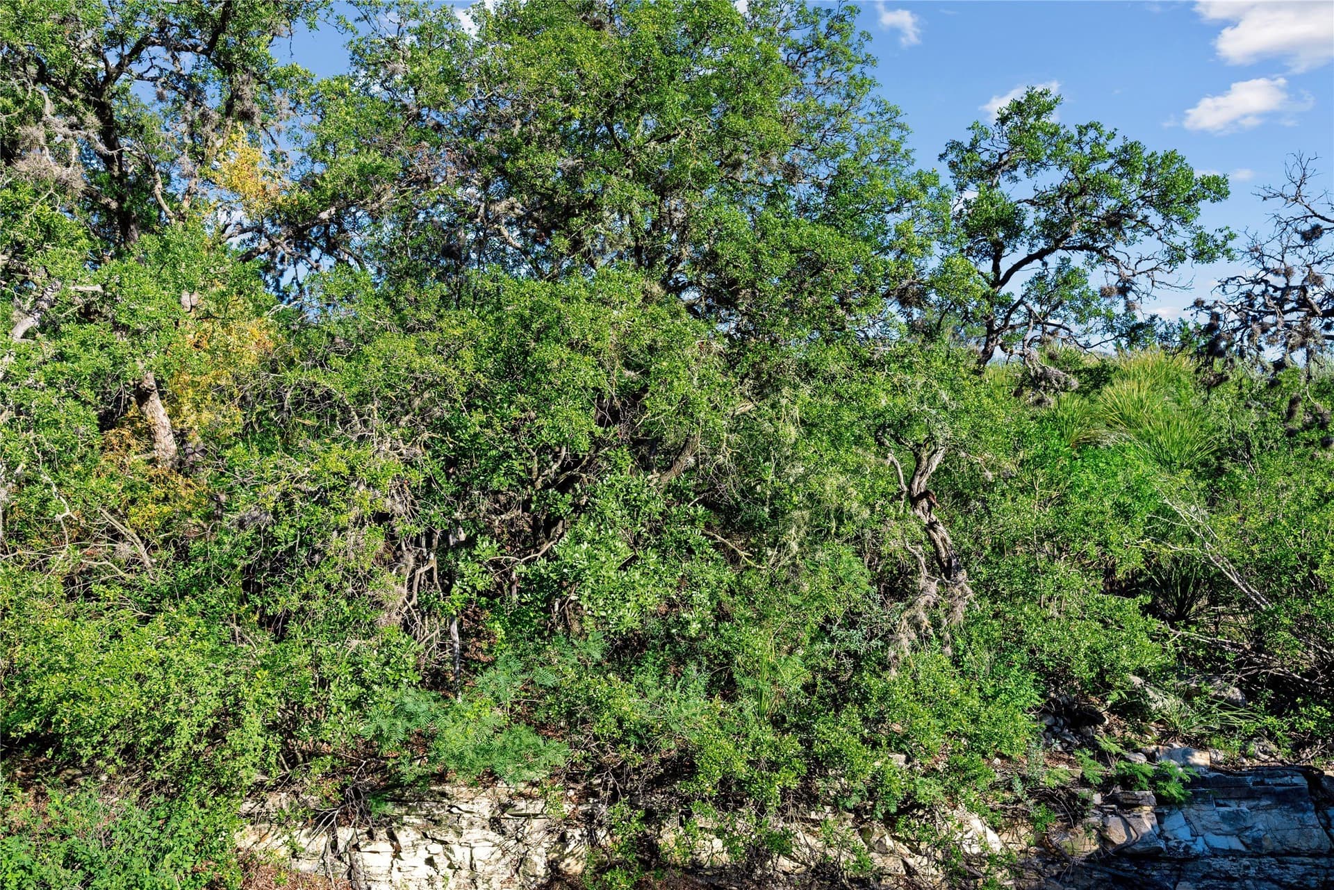 7,532.21 acres in Uvalde County - photo 9