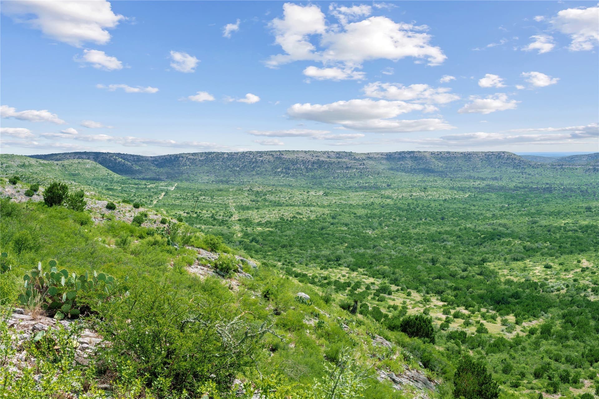 7,532.21 acres in Uvalde County - photo 13