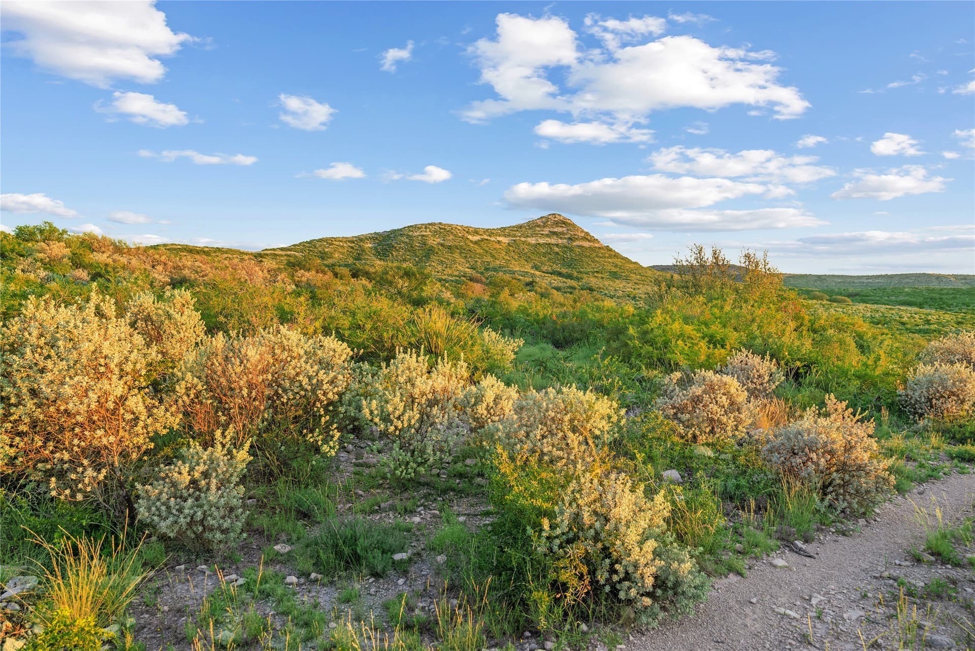 7,532.21 acres in Uvalde County - photo 4