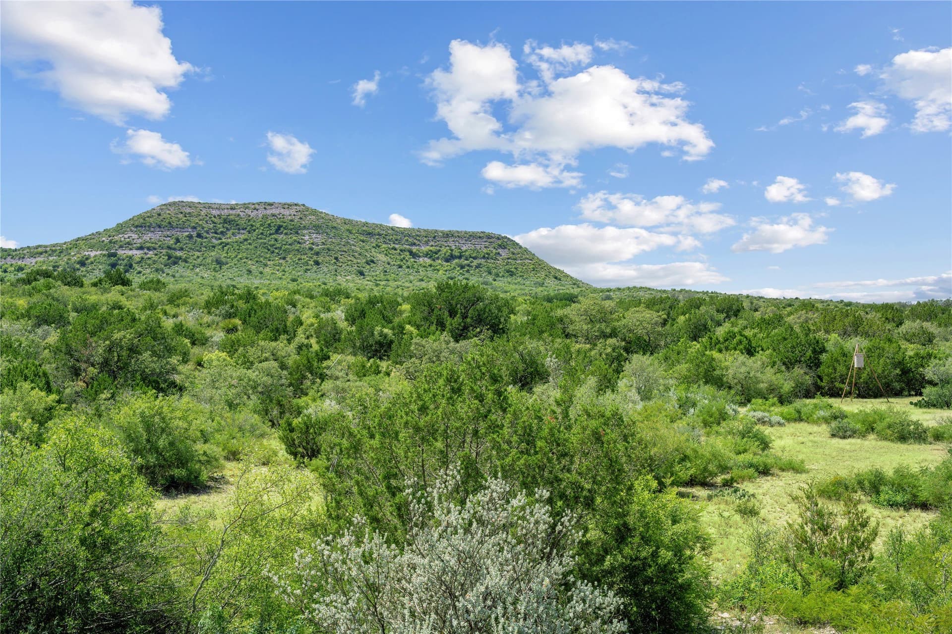 7,532.21 acres in Uvalde County - photo 14