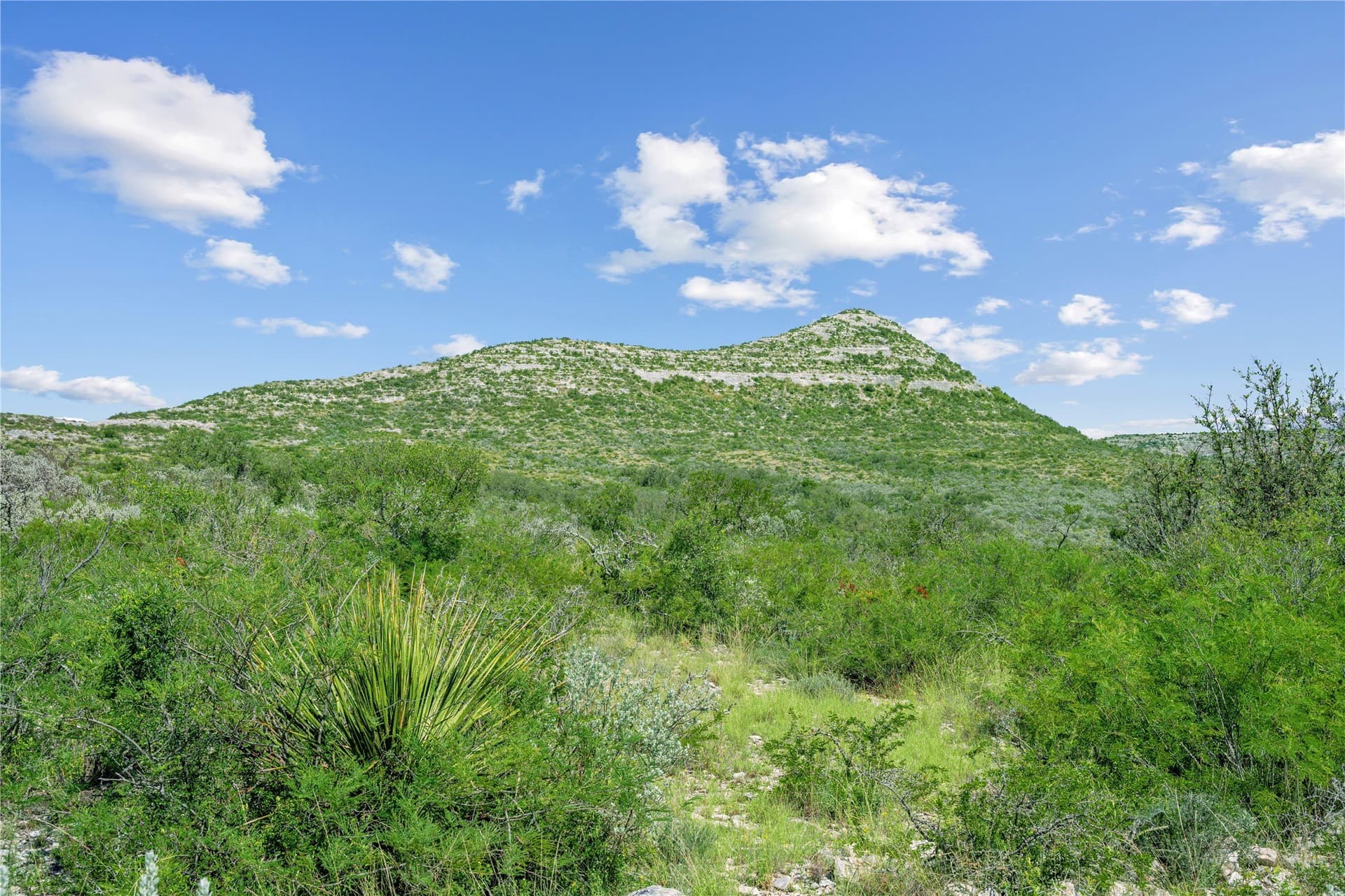 7,532.21 acres in Uvalde County - photo 36