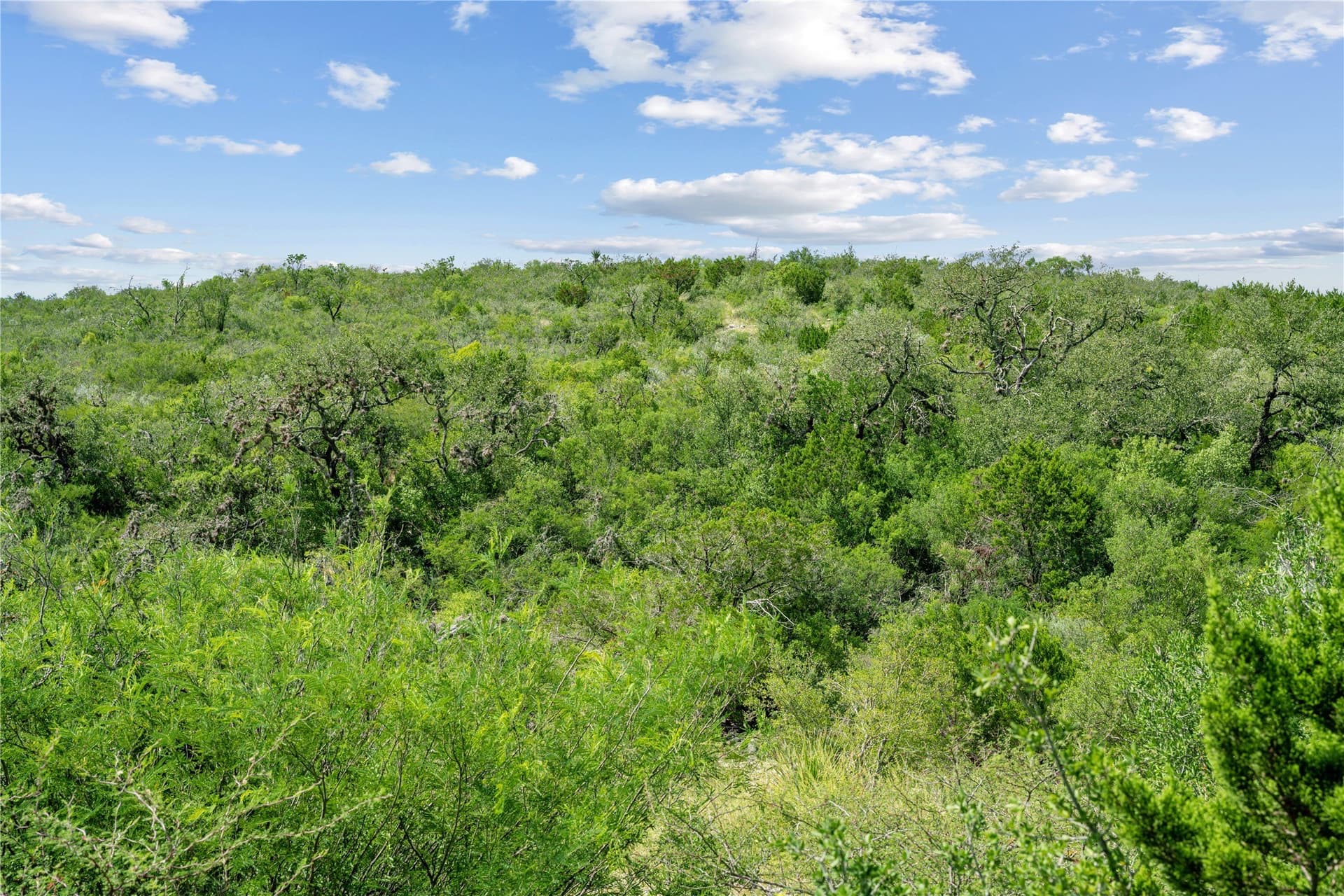 7,532.21 acres in Uvalde County - photo 30