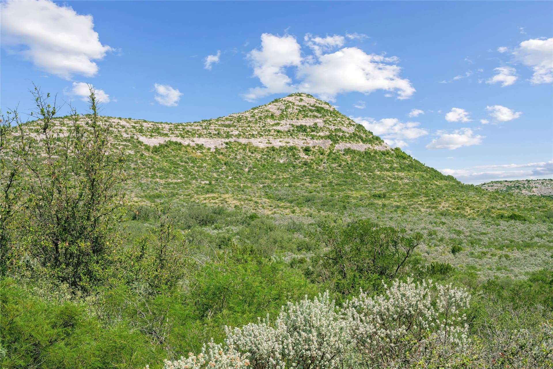 7,532.21 acres in Uvalde County - photo 38