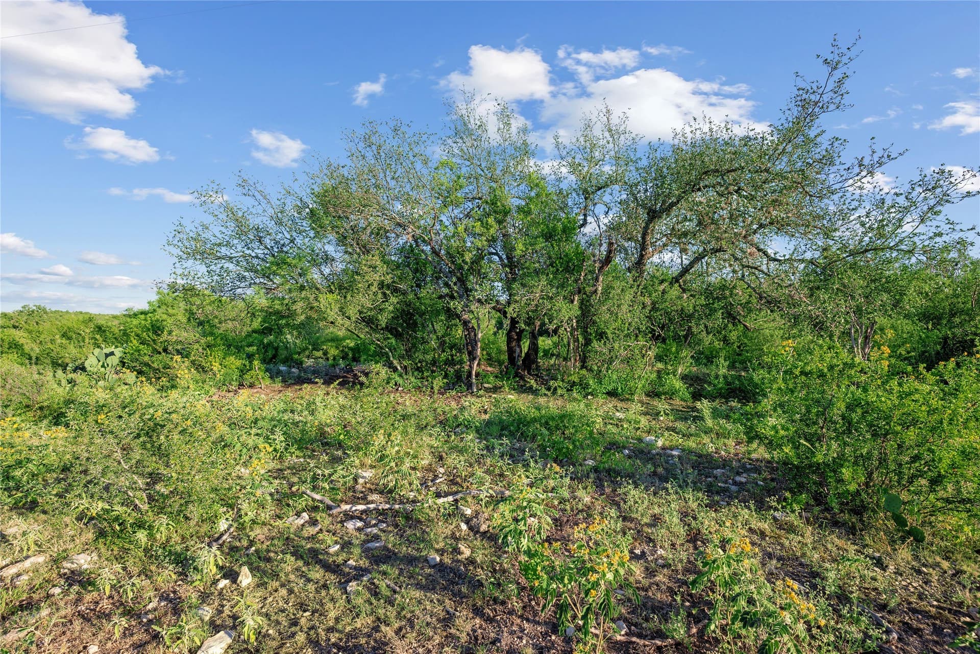 7,532.21 acres in Uvalde County - photo 7