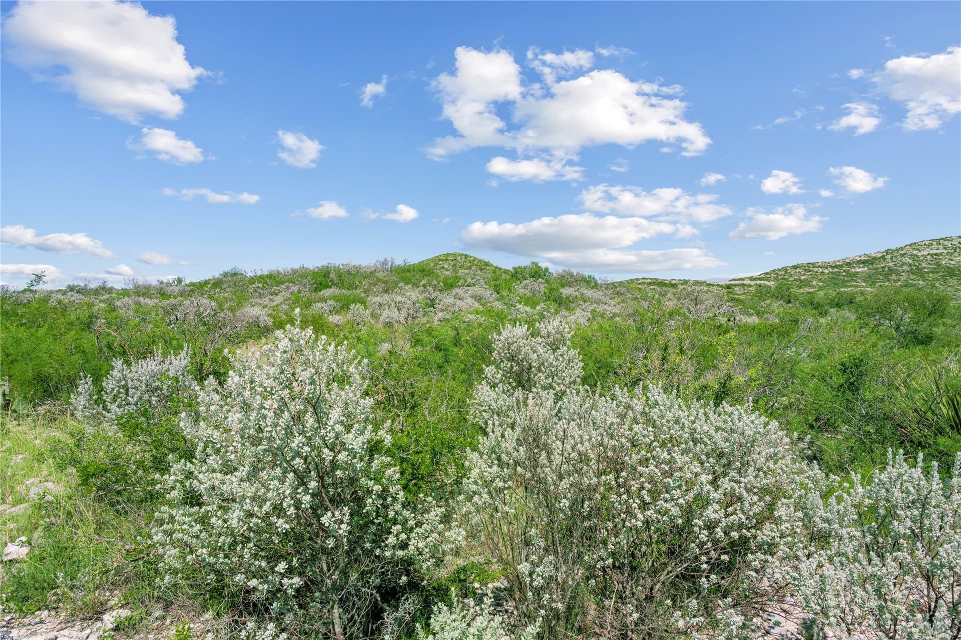 7,532.21 acres in Uvalde County - photo 37