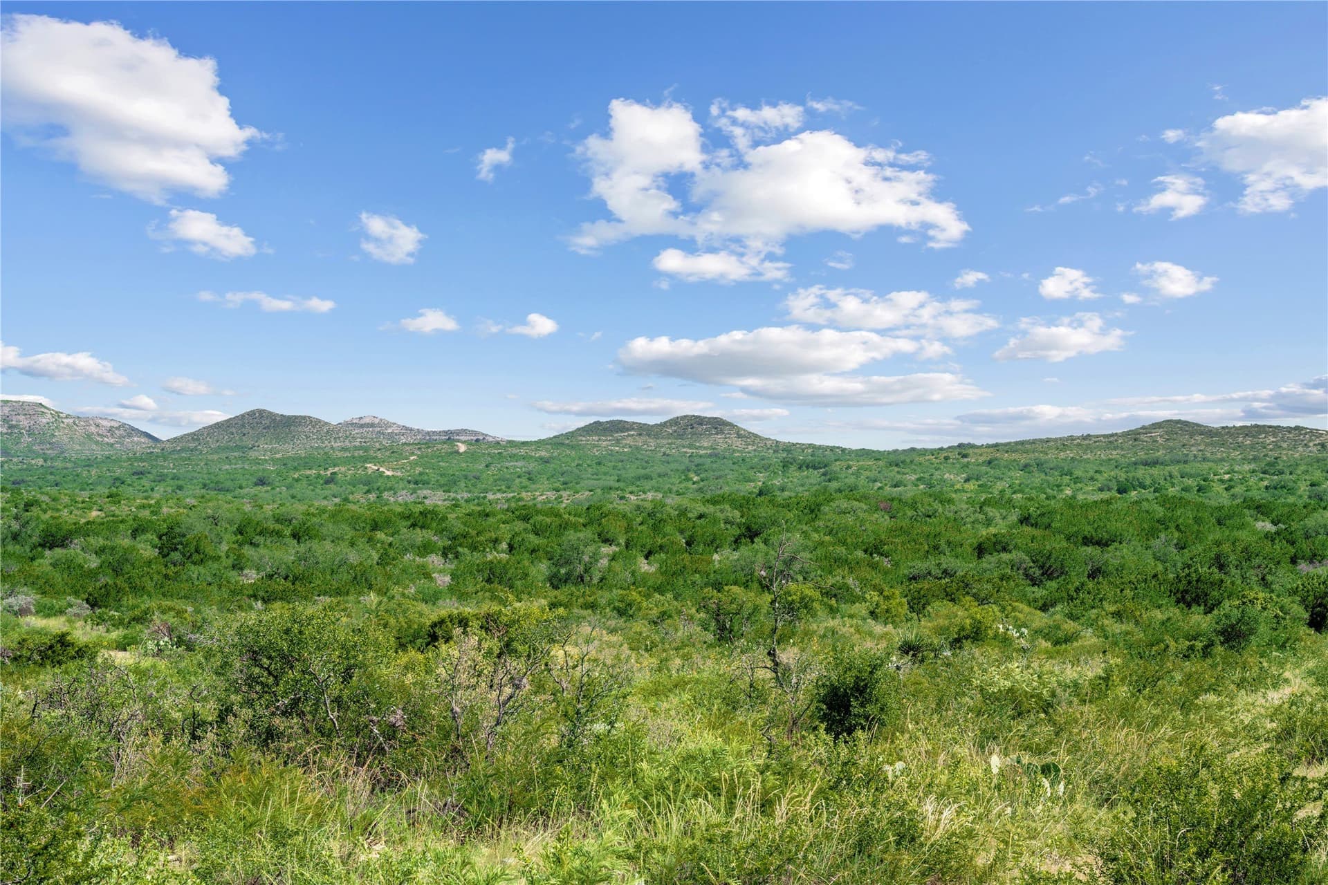 7,532.21 acres in Uvalde County - photo 10