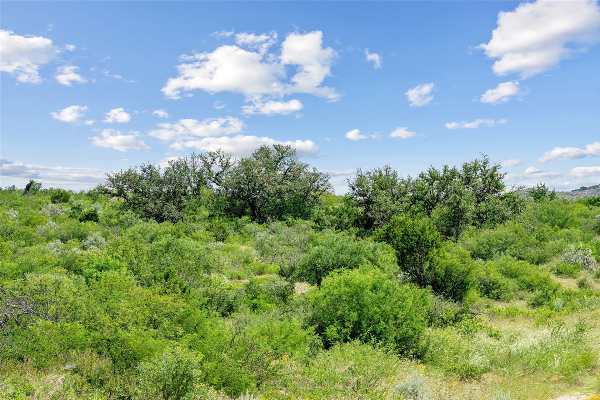 7,532.21 acres in Uvalde County - photo 26