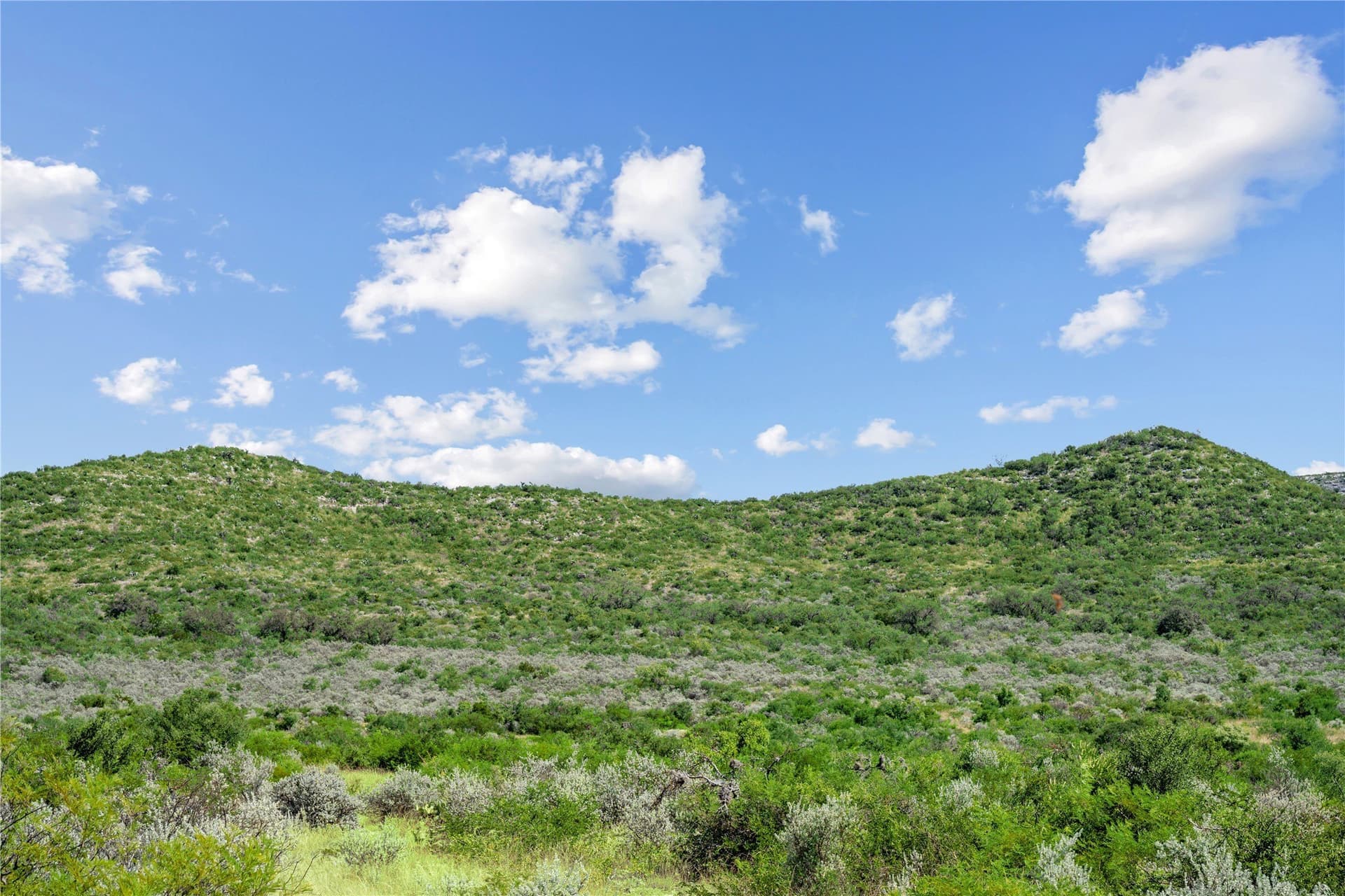 7,532.21 acres in Uvalde County - photo 35