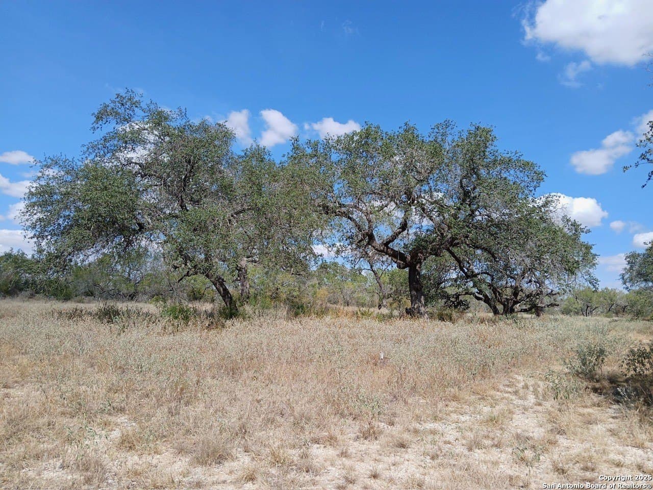 11.23 acres in Frio County gallery image 2