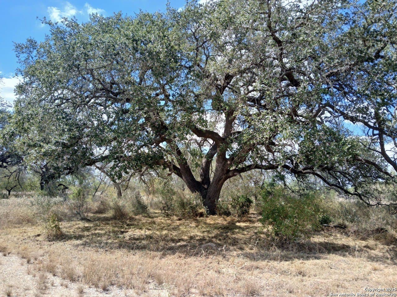 11.23 acres in Frio County featured view