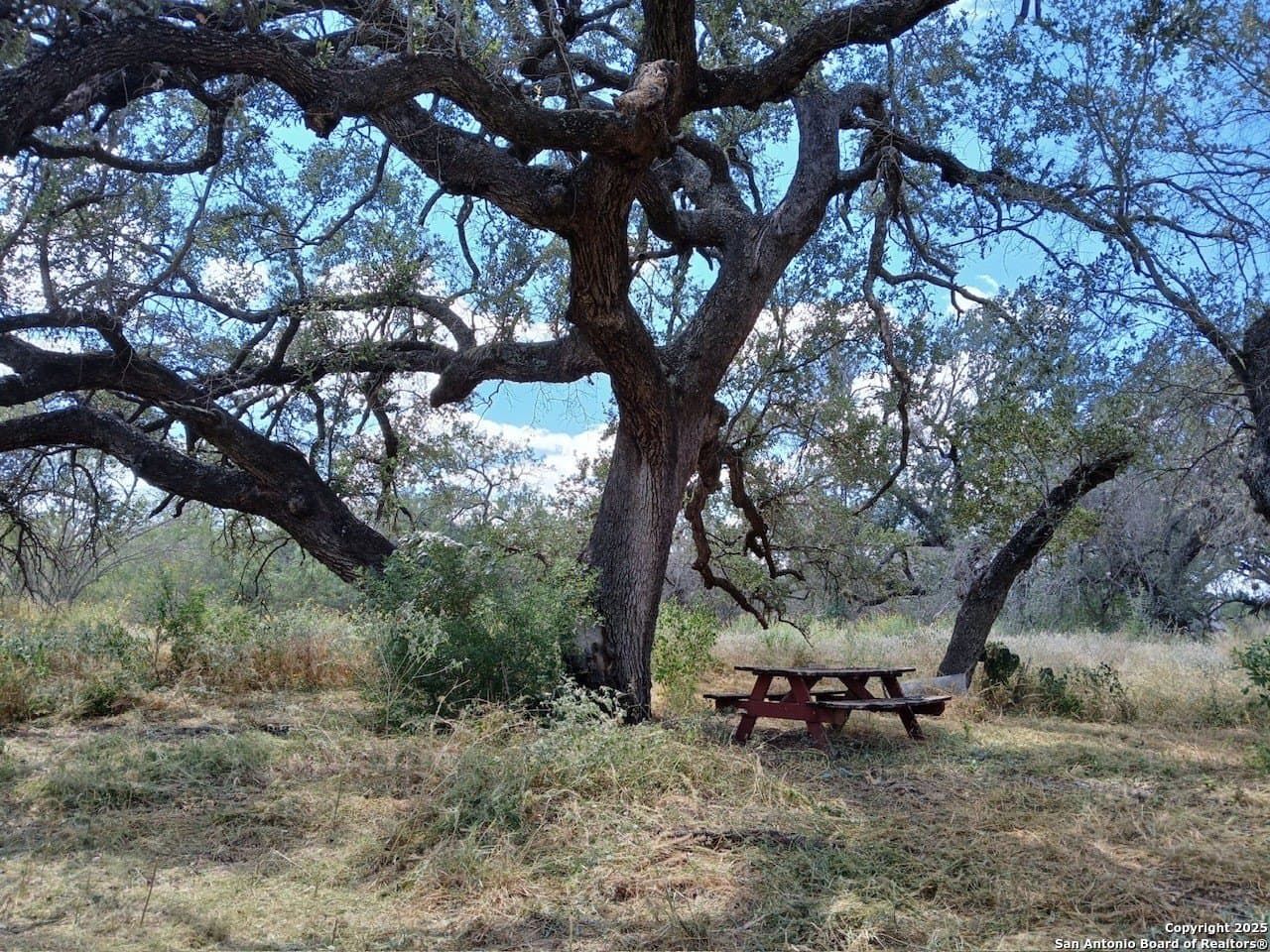 11.23 acres in Frio County