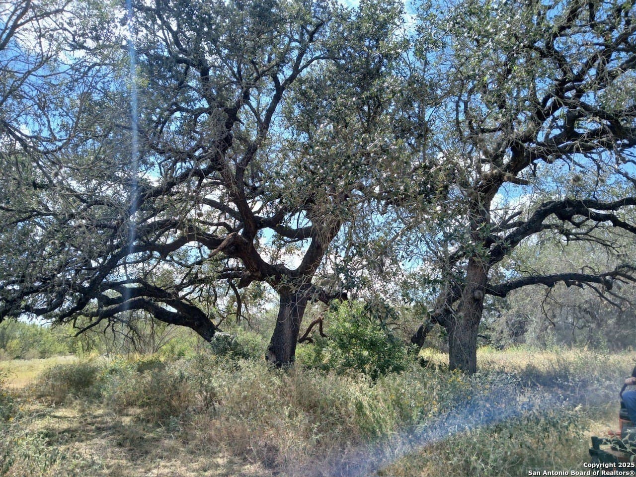 11.23 acres in Frio County gallery image 3