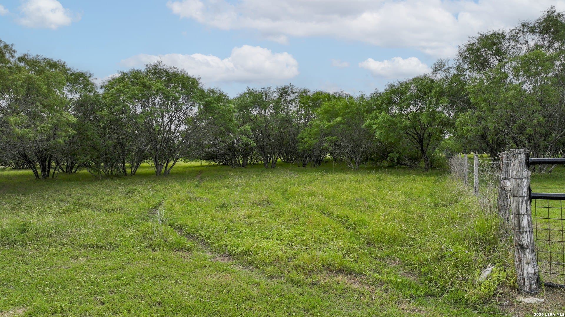8.21 acres in Gonzales County - photo 7
