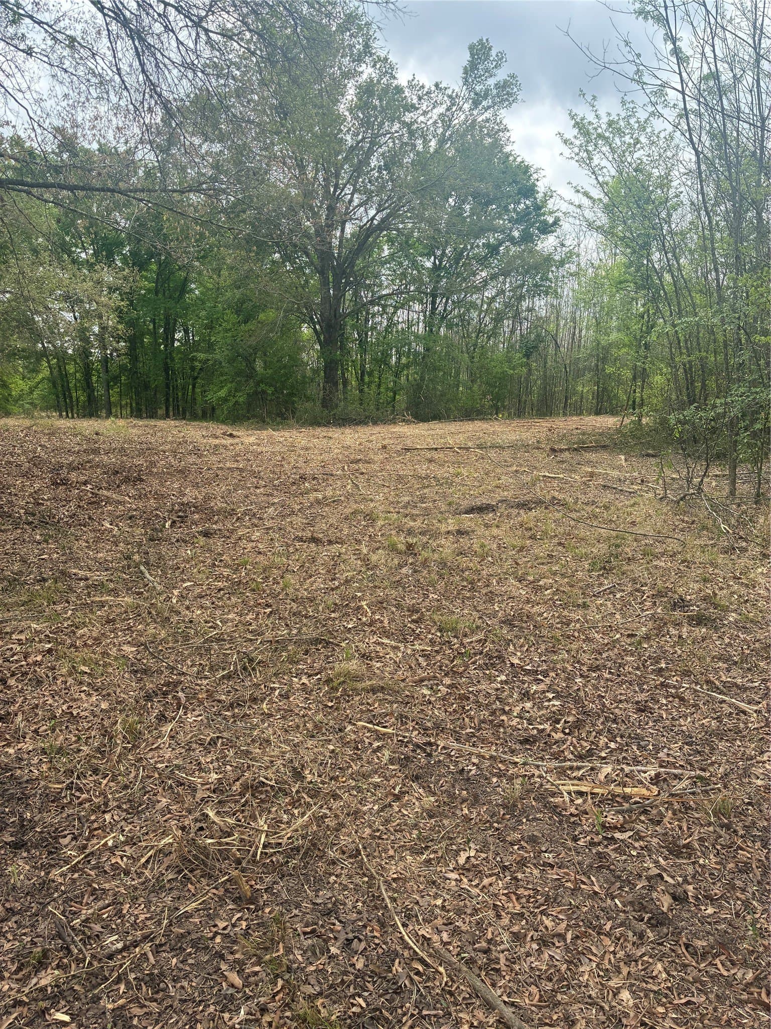 10.5 acres in Franklin (TX) County - photo 9