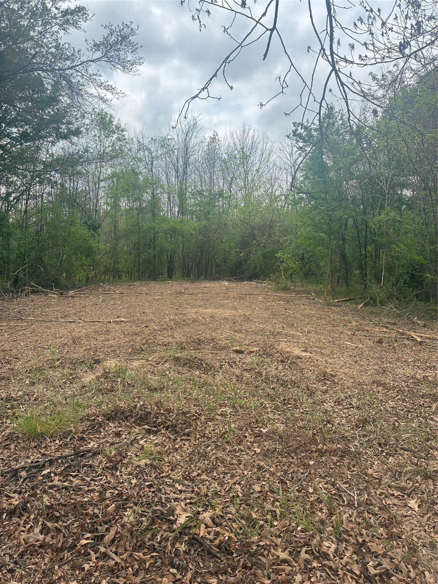 10.5 acres in Franklin (TX) County - photo 6
