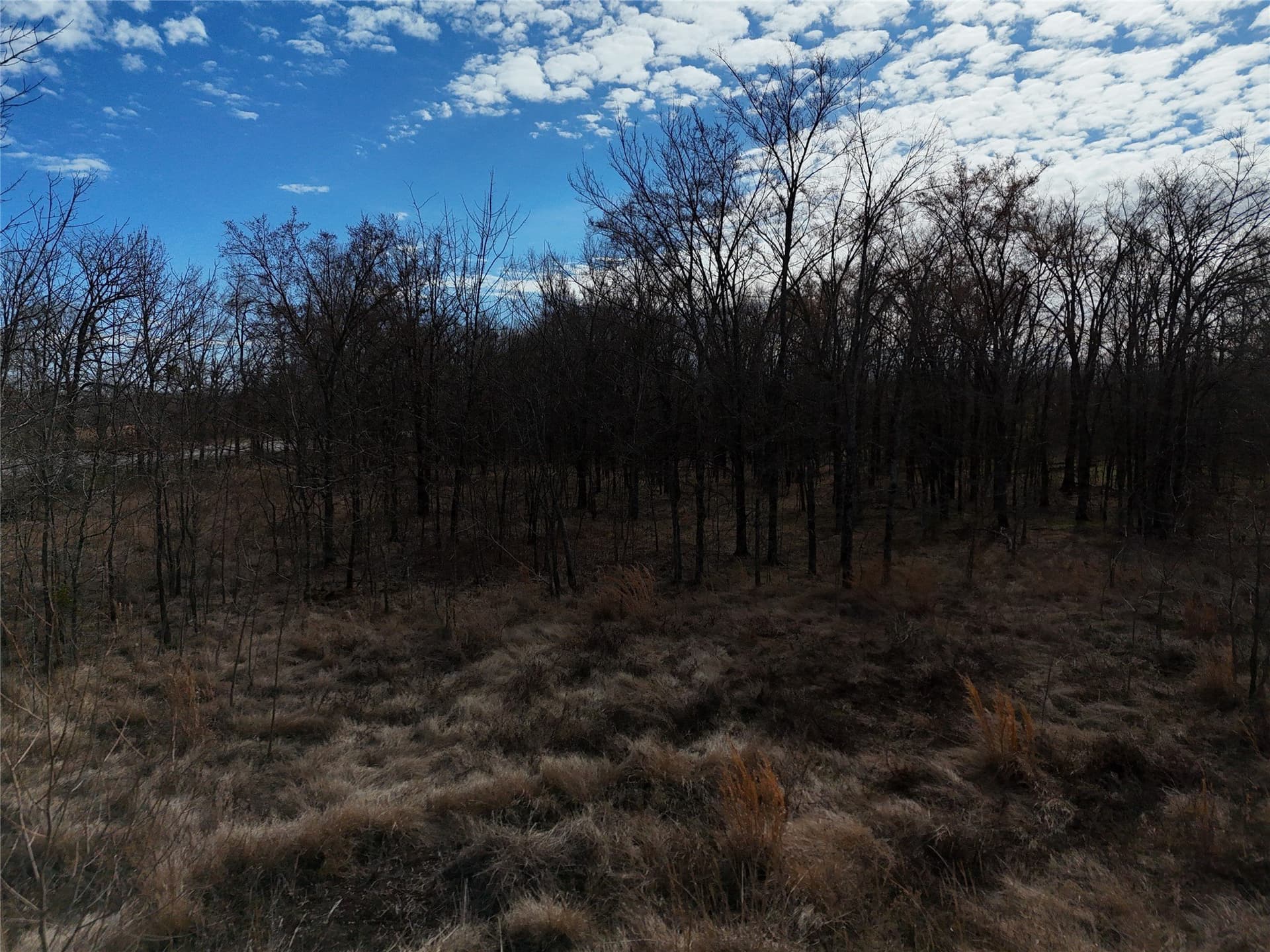 10.5 acres in Franklin (TX) County - photo 11