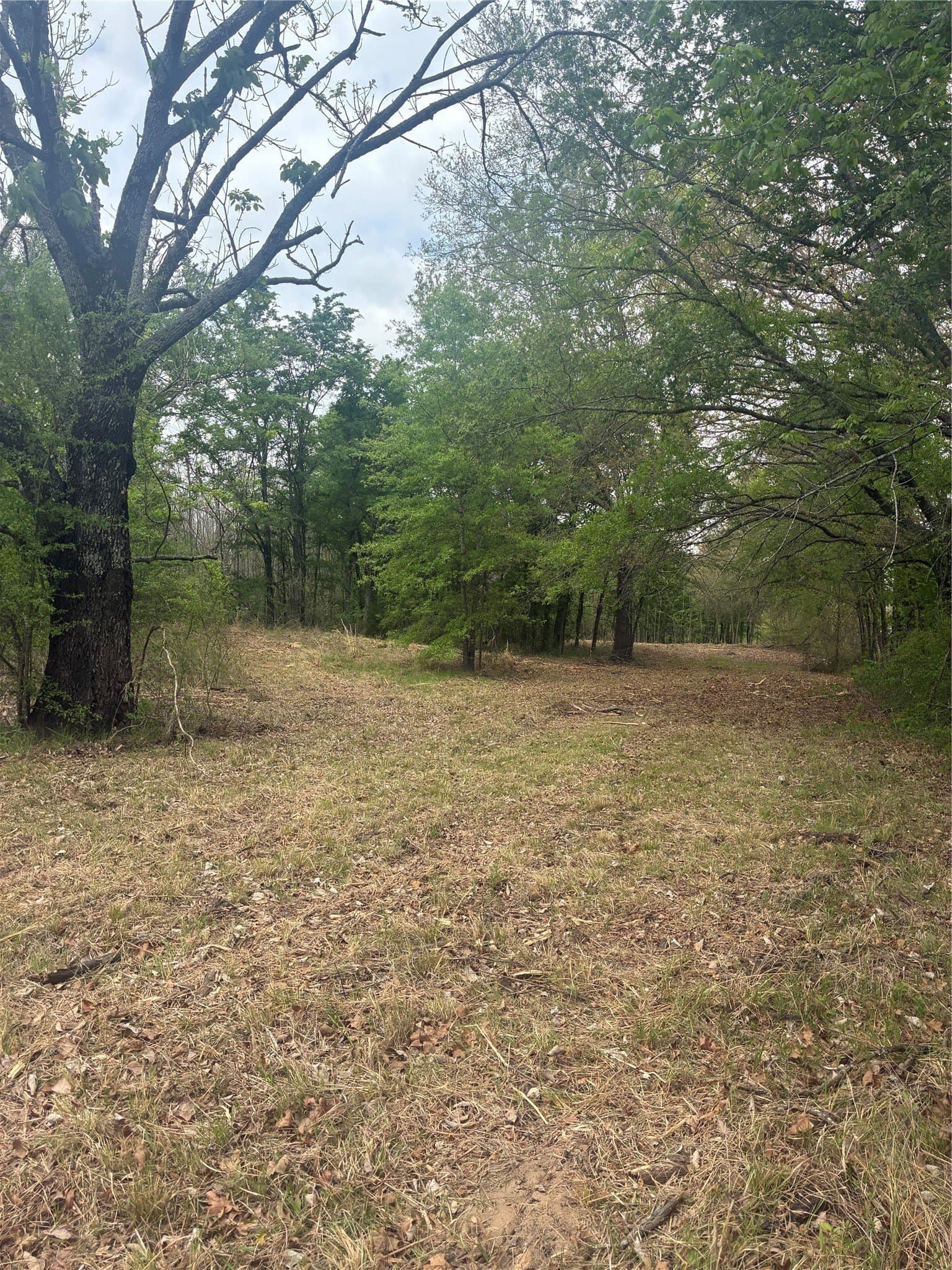 10.5 acres in Franklin (TX) County - photo 8