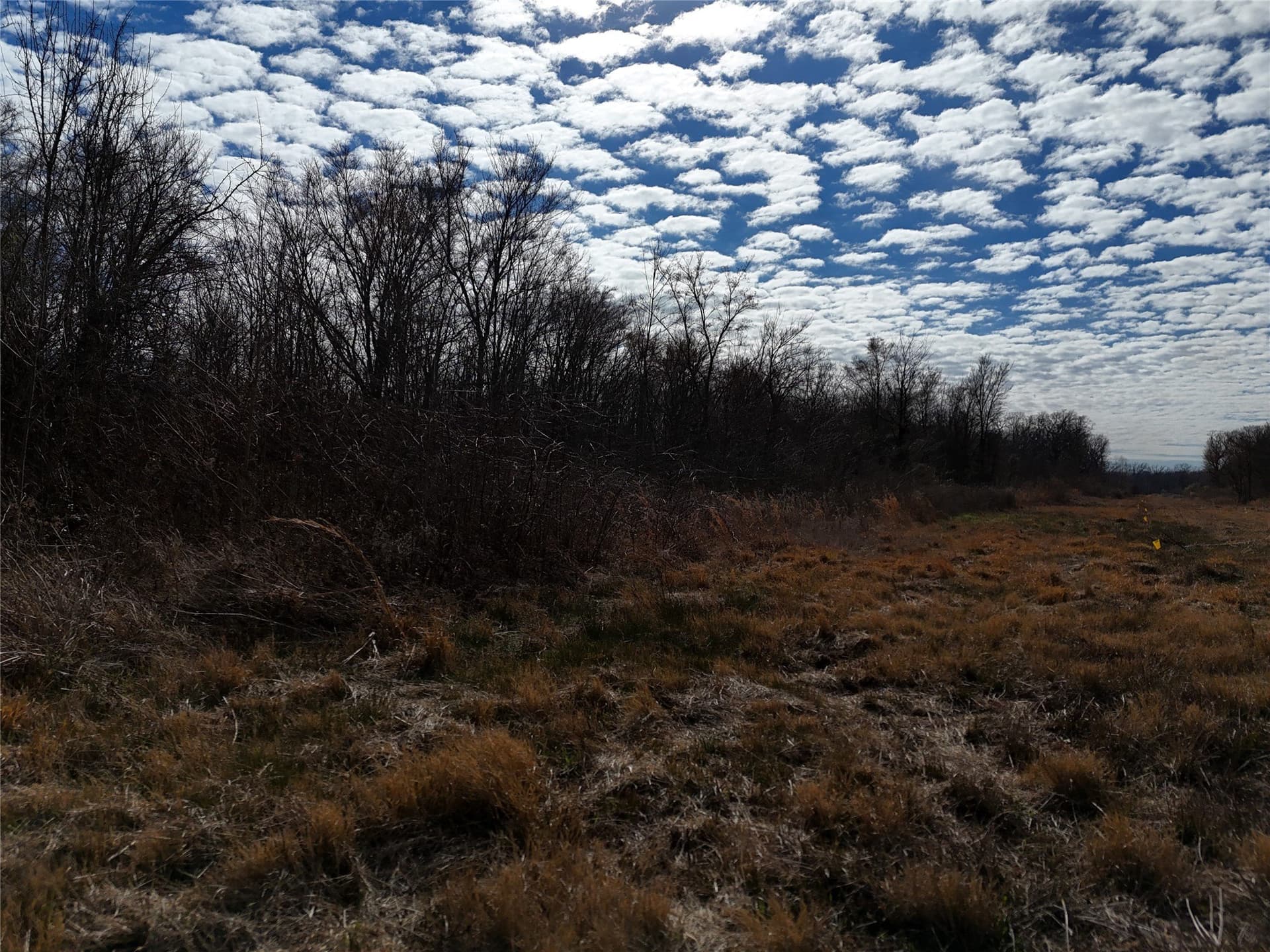 10.5 acres in Franklin (TX) County - photo 14