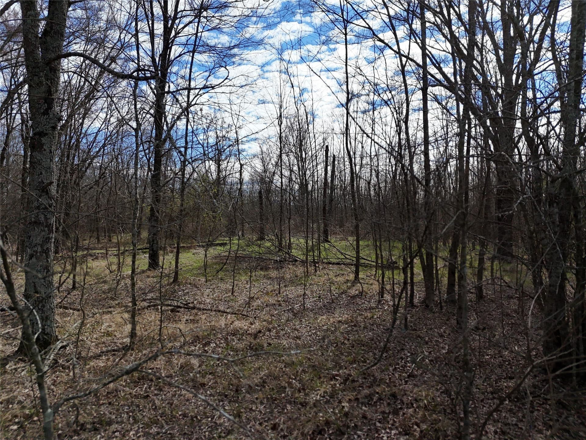 10.5 acres in Franklin (TX) County - photo 13