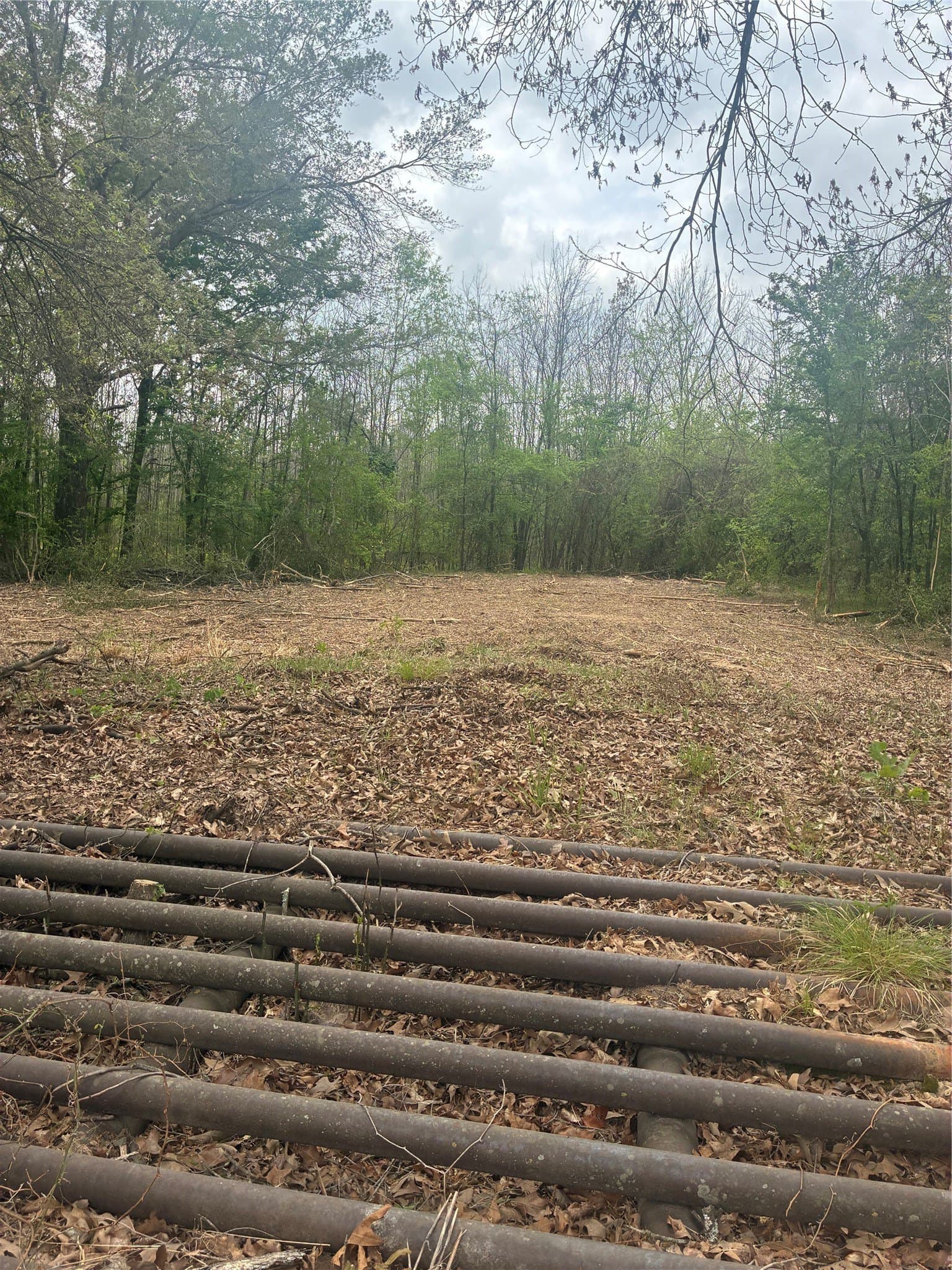 10.5 acres in Franklin (TX) County - photo 2