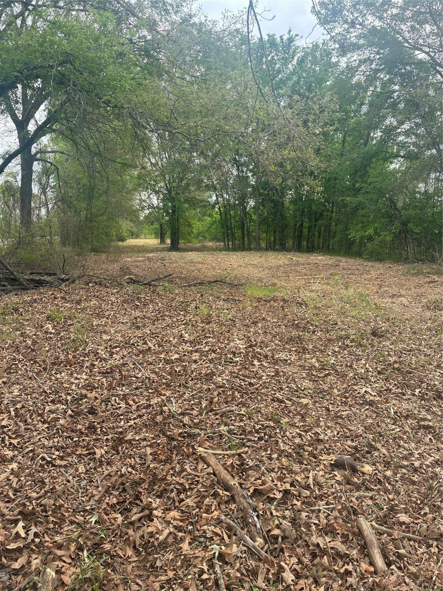 10.5 acres in Franklin (TX) County - photo 10