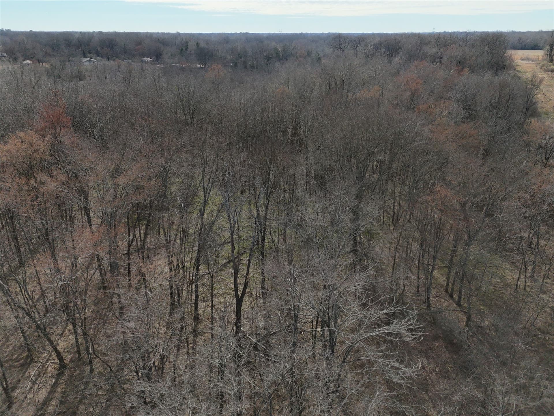 10.5 acres in Franklin (TX) County - photo 12