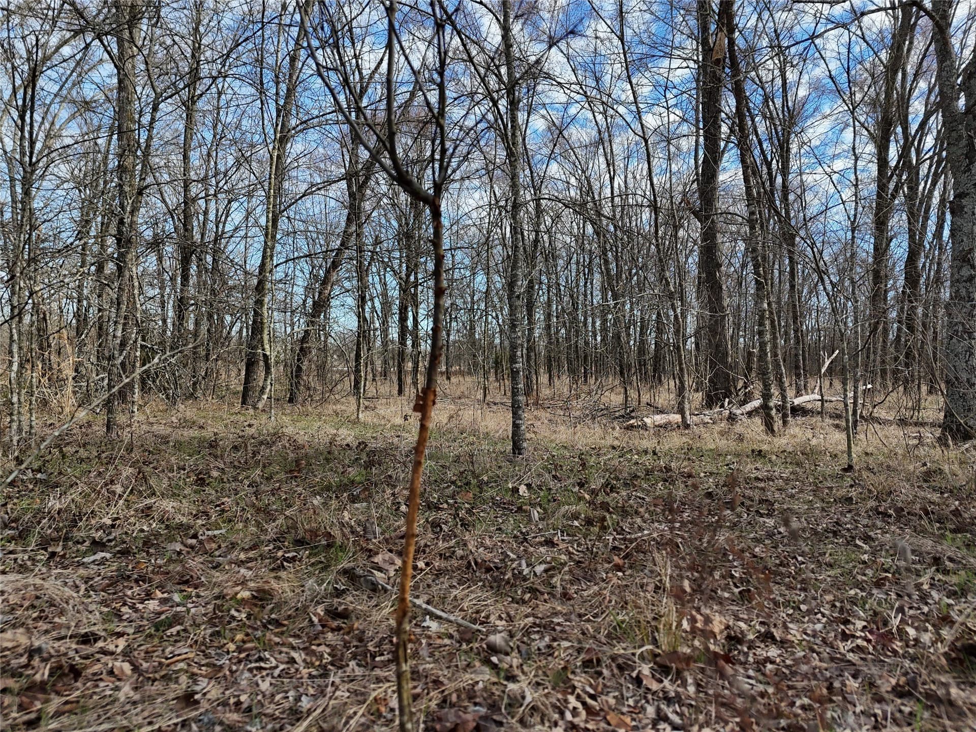 10.5 acres in Franklin (TX) County - photo 4