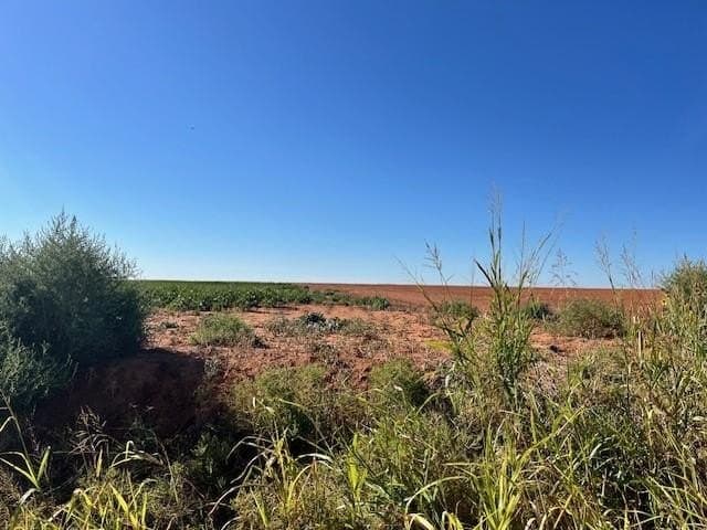 92 acres in Fisher County featured view