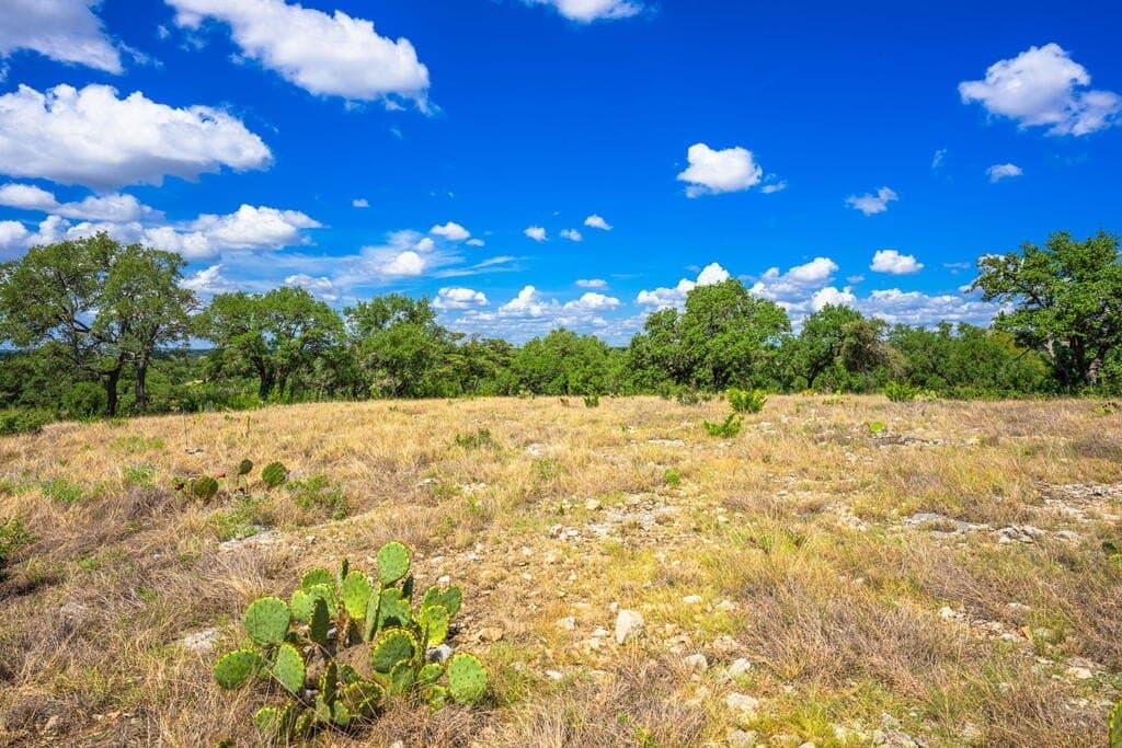 6.11 acres in Gillespie County - photo 12