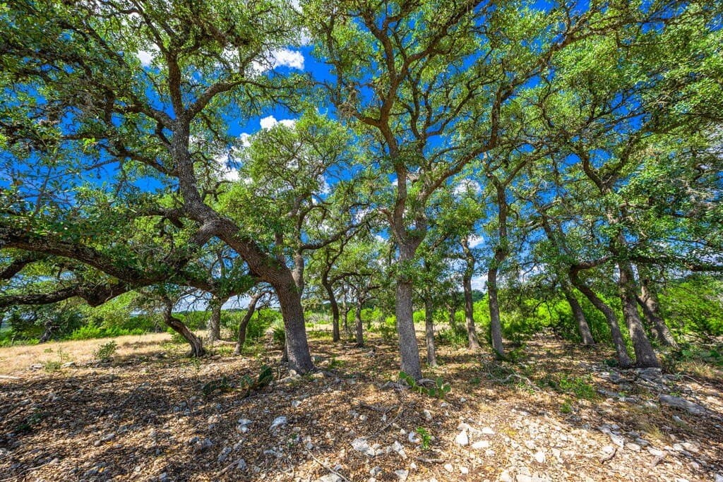 6.11 acres in Gillespie County - photo 14