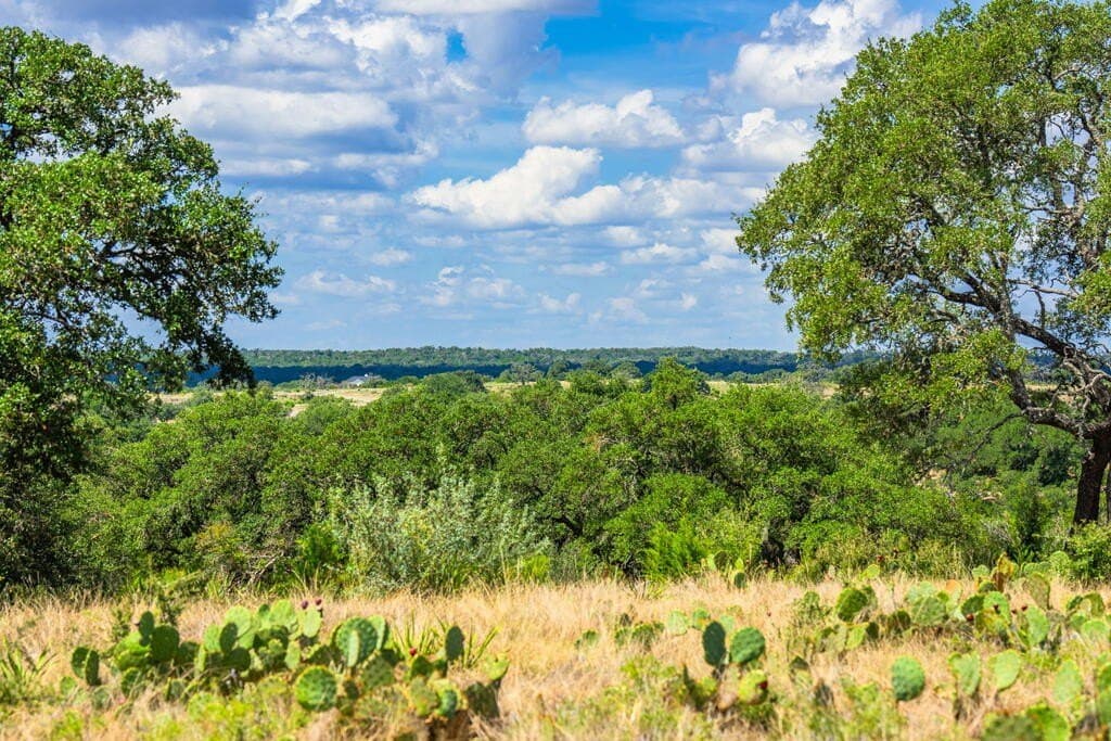 6.11 acres in Gillespie County - photo 11