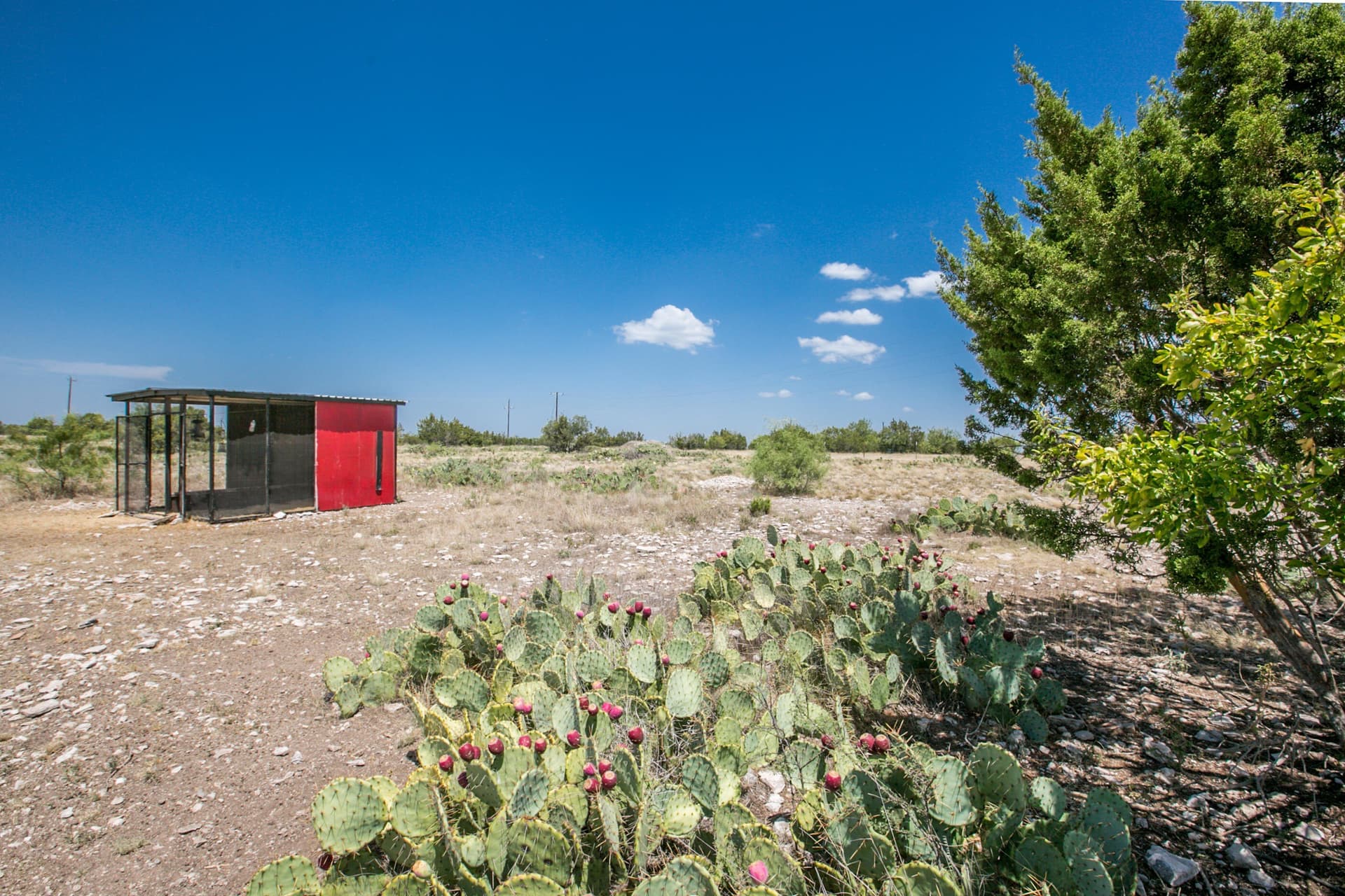 10 acres in Tom Green County - photo 11